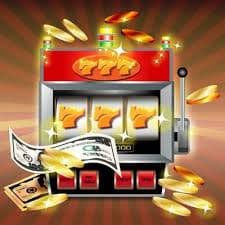 Cricket and Casino Guide hero image on bd 40 for Bangladesh mobile users